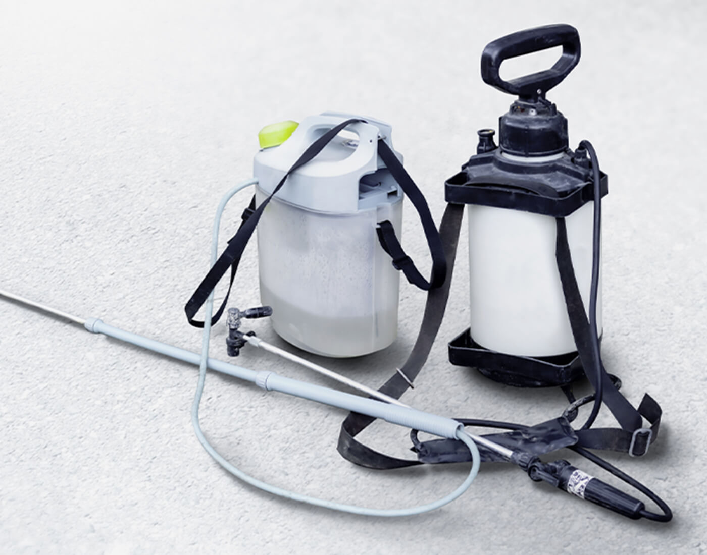 クモ・害虫駆除